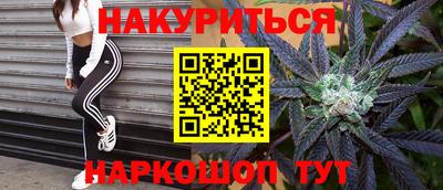 молекула духа Будённовск