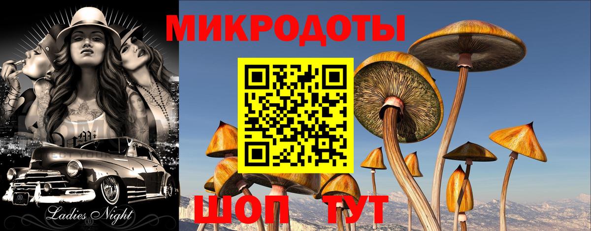 Томск  Псилоцибиновые грибы Cubensis  Вход с VPN  Галлюциногенные грибы прущие грибы 